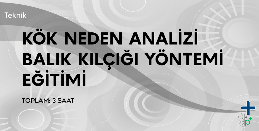 Balık Kılçığı Kök Neden Analizi Eğitimi Görseli