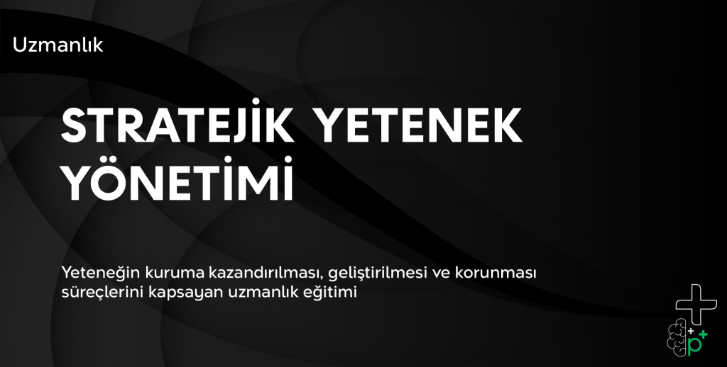 Stratejik Yetenek Yönetimi Tanıtım Görseli