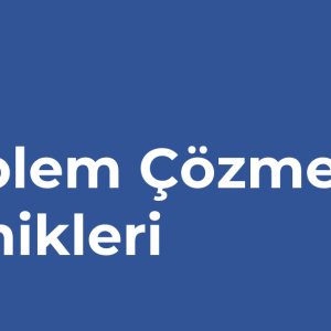 Problem Çözme Teknikleri eğitimi tanıtım görseli