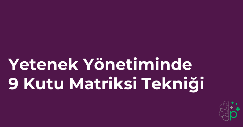 Yetenek Yönetiminde 9 Kutu Matriksi Tekniği Eğitimi Tanıtım Görseli