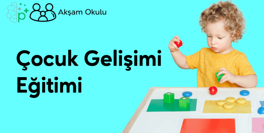 01- Çocuk Gelişimi Eğitimi
