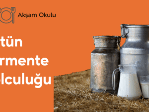 06- Sütün Fermente Yolculuğu