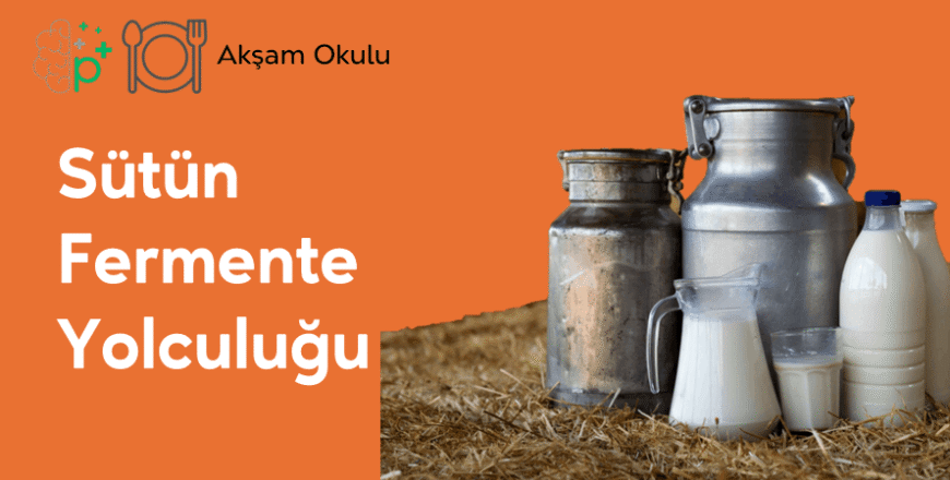 06- Sütün Fermente Yolculuğu