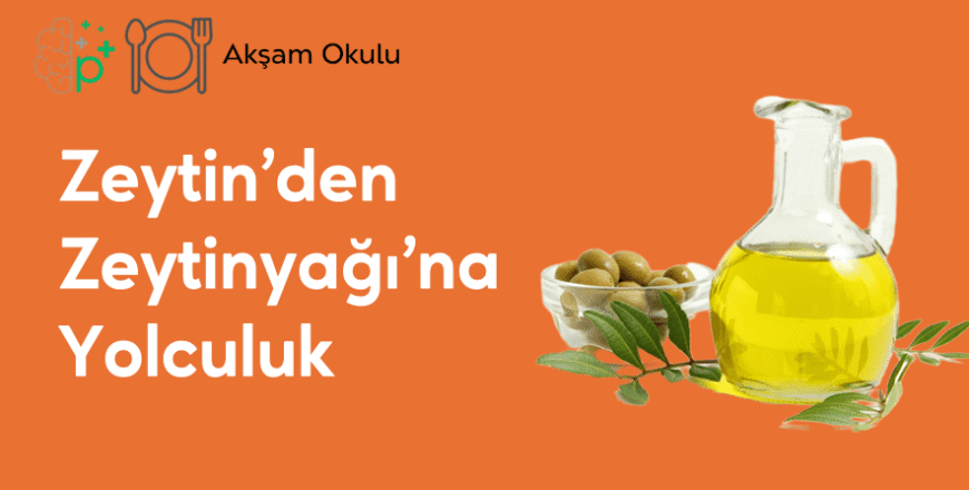 06- Zeytinden Zeytinyağına