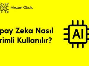 12- Yapay Zeka Nasıl Verimli Kullanılır