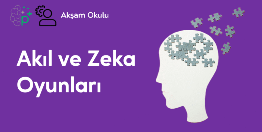 13- Akıl ve Zeka Oyunları