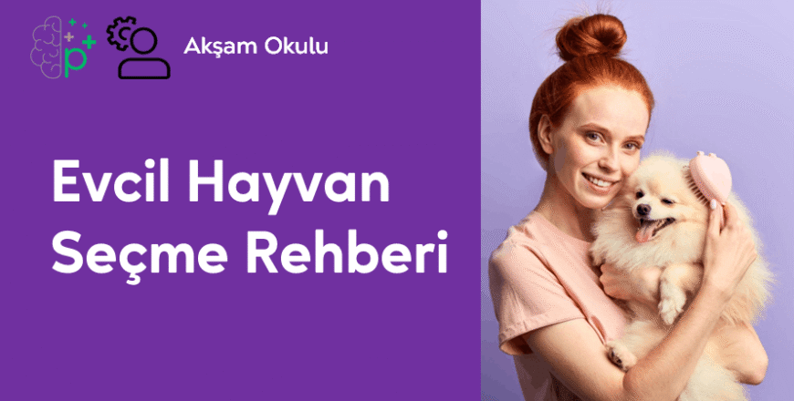 13- Evcil Hayvan Seçme Rehberi