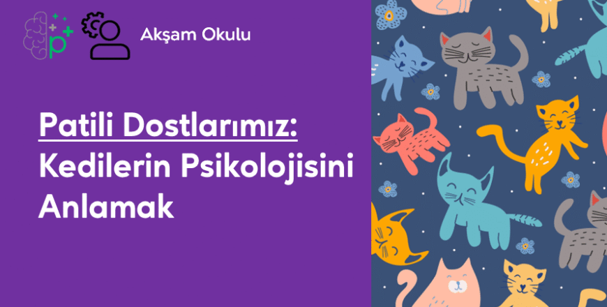 13- Kedilerin Psikolojisini Anlamak