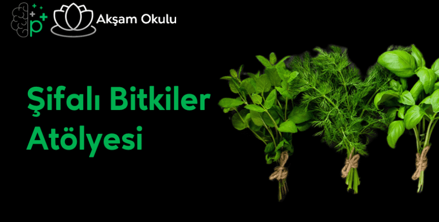 14- Şİfalı Bitkiler Atölyesi