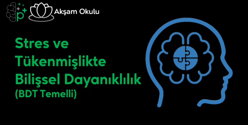 14- Stres ve Tükenmişlikte Bilişsel Dayanıklılık (BDT Temelli)