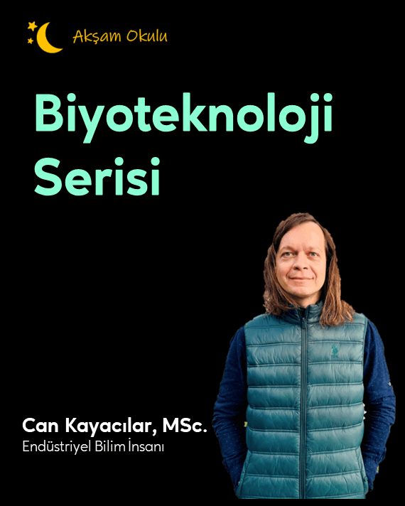 Akşam Okulu Mobil 002