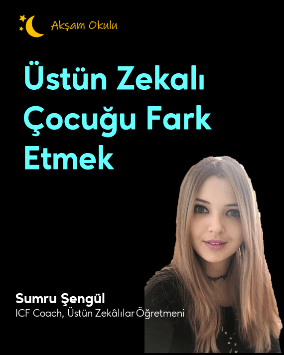 Akşam Okulu Mobil 015