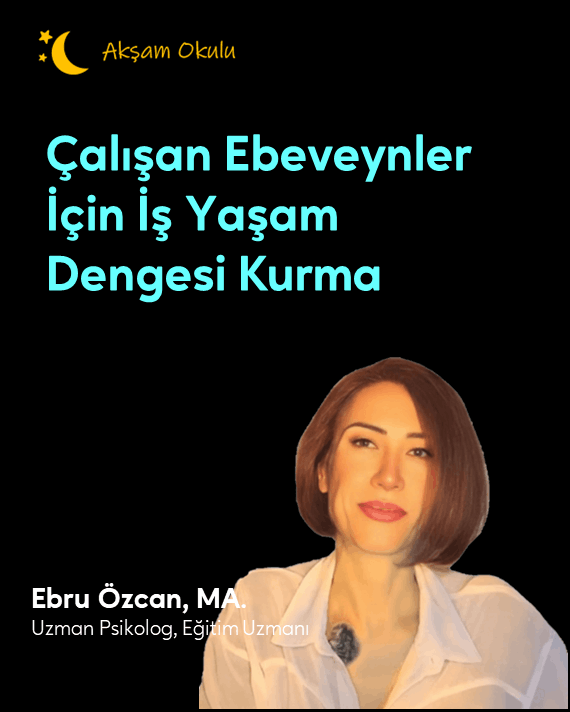 Akşam Okulu Mobil 017