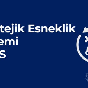 Stratejik Esneklik Sistemi Eğitimi